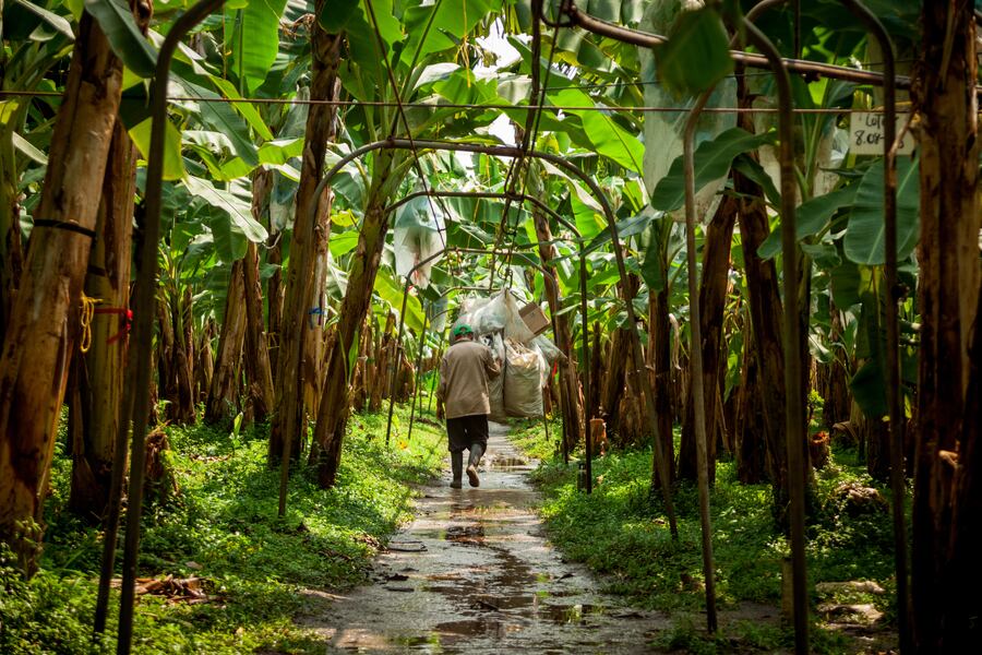 Imagen de referencia/ Asbama