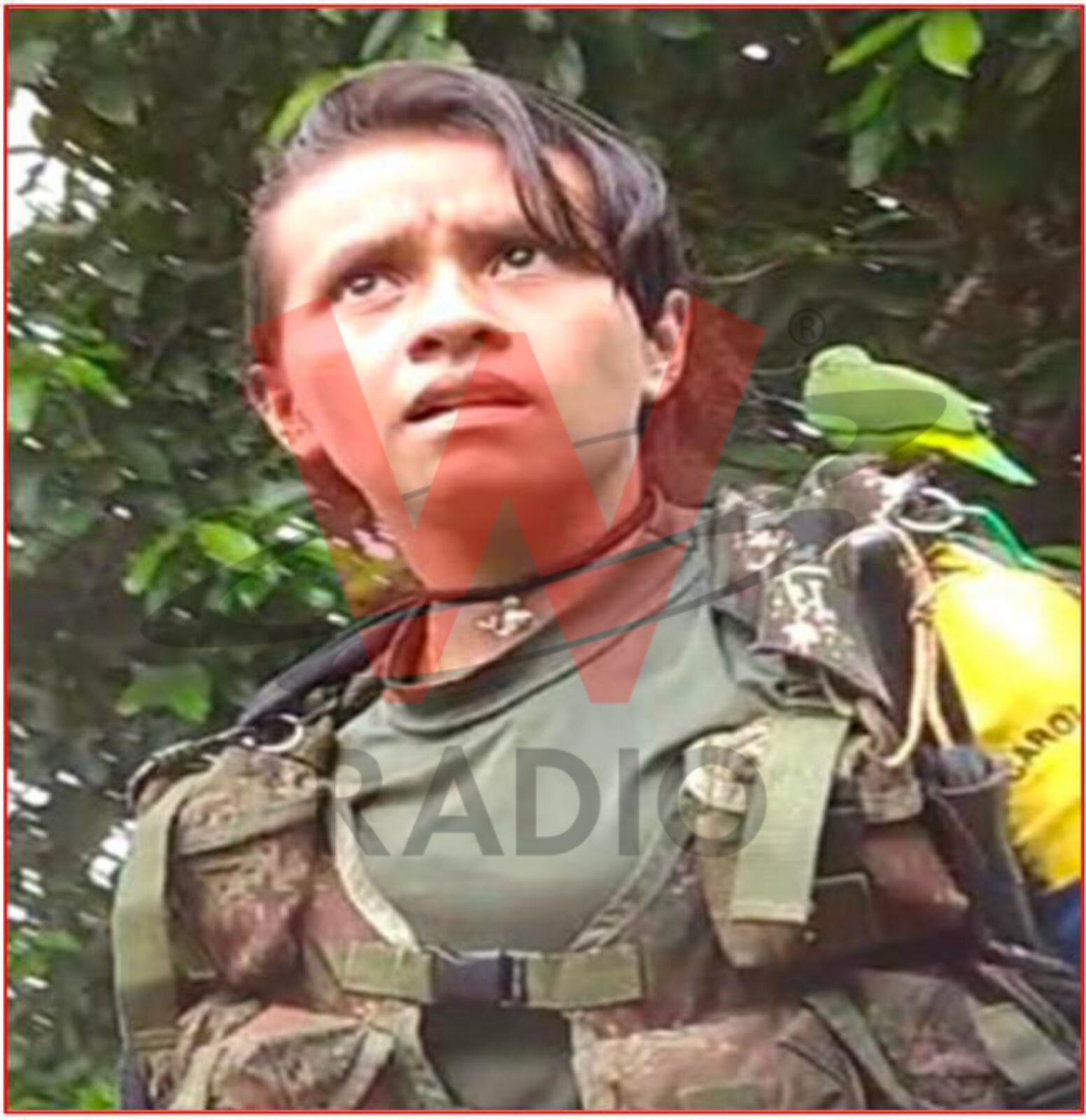 Capturan a cabecilla de estructura Carolina Ramírez del Estado Mayor de disidencias Farc. Foto: Suministrada.