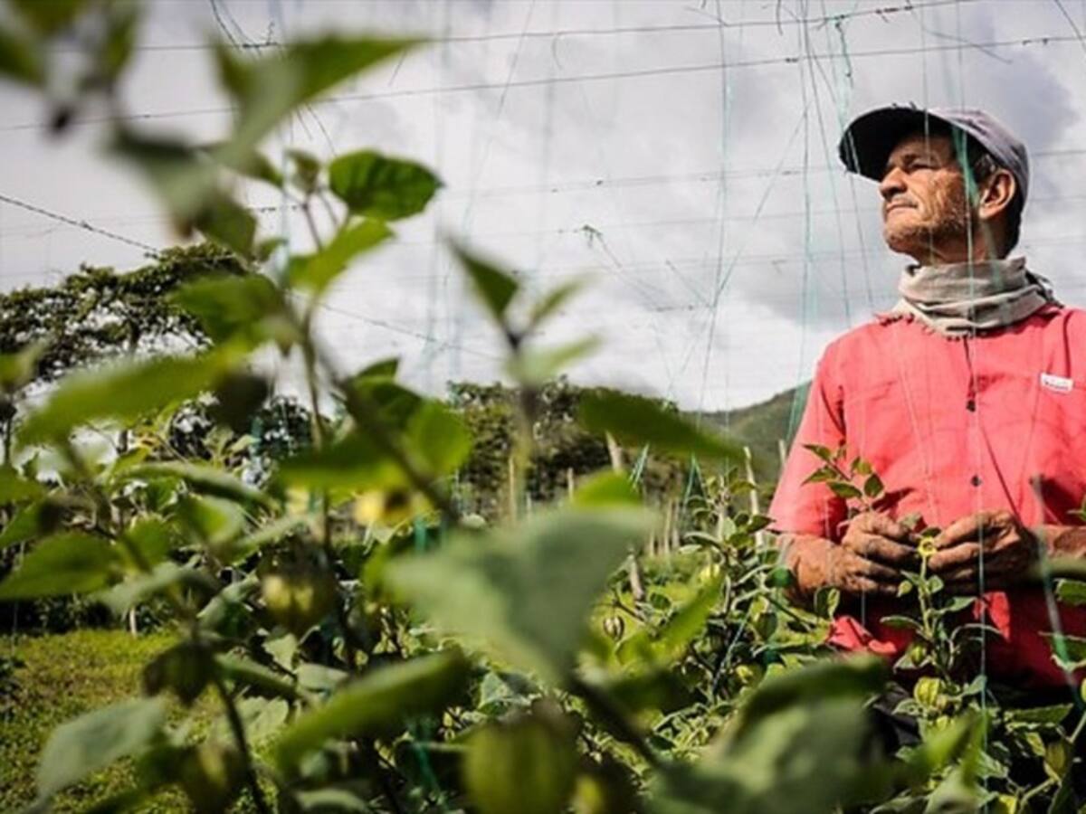 Gobierno firmó decreto que beneficiará a campesinos en formalización de sus propiedades