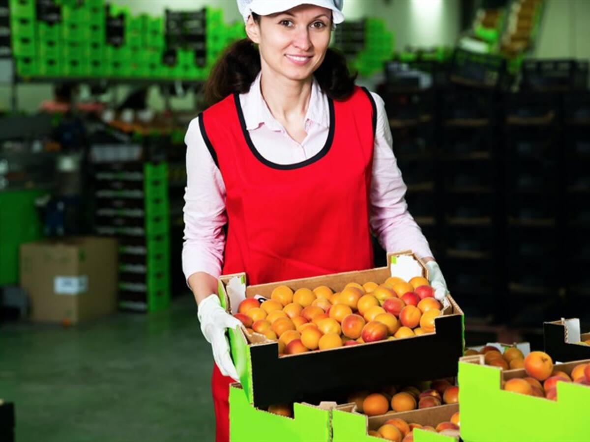 Las empresas son el reflejo de las personas