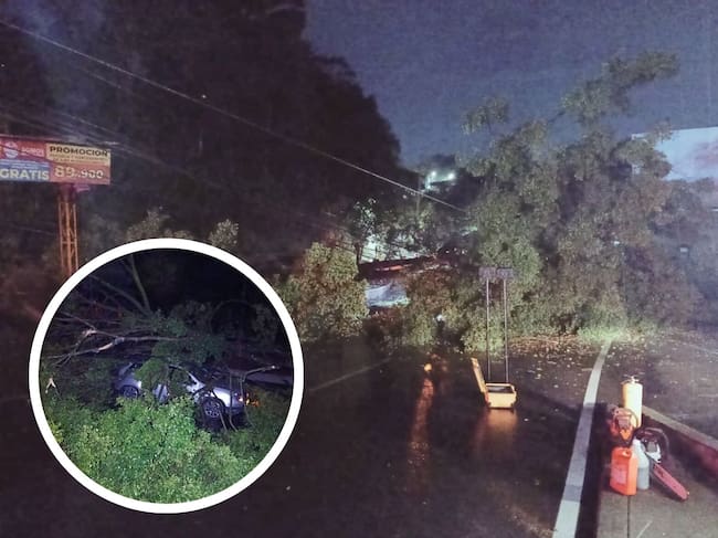 Vendaval en Pereira (foto: Alcaldía de Pereira)