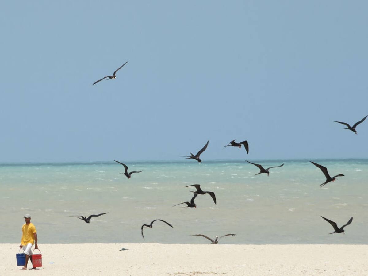 Tras denuncias, zona turística de Riohacha ya está siendo recuperada