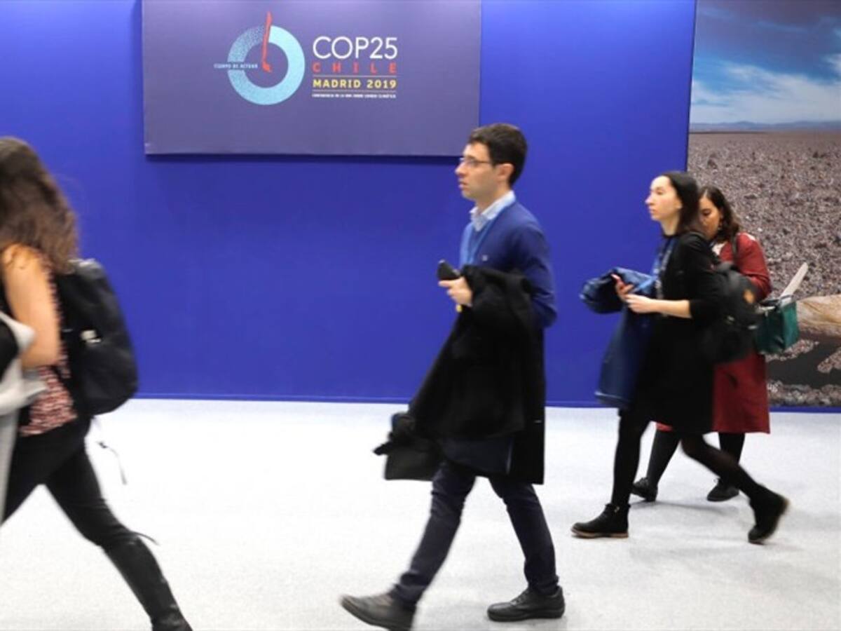 Trump y Putin no aparecen mientras que Thunberg sigue liderando: resumen de la COP25