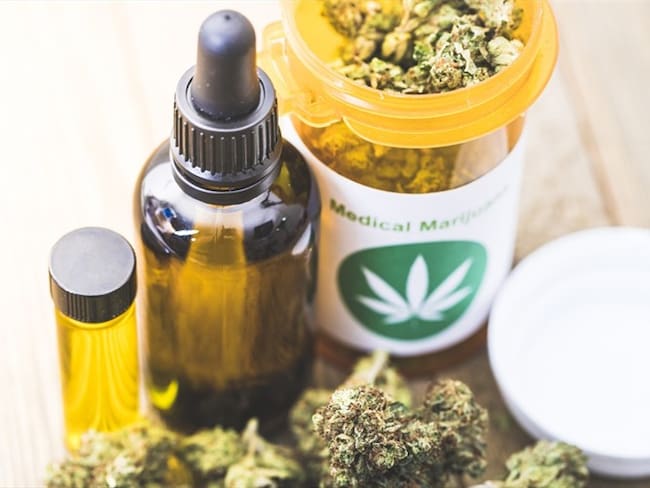 Productores nacionales de cannabis medicinal piden claridad y equidad frente a extranjeros