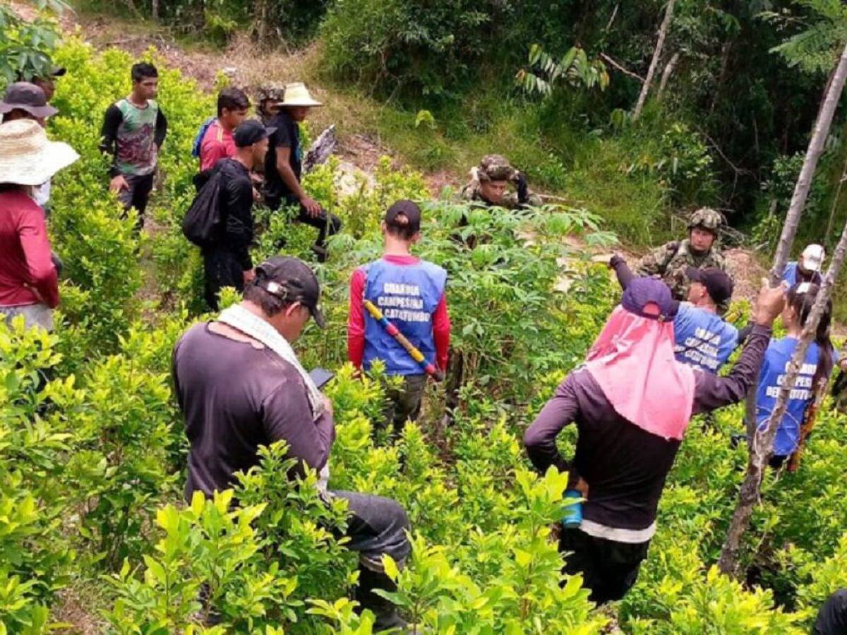 Tensión entre cultivadores de hoja de coca y miembros del Ejército Nacional en Tibú