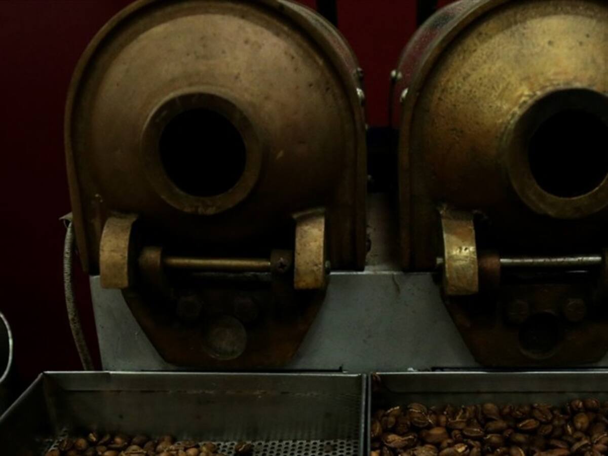 Así es cómo Nariño encontró en sus cafetales la manera de cicatrizar sus heridas de guerra