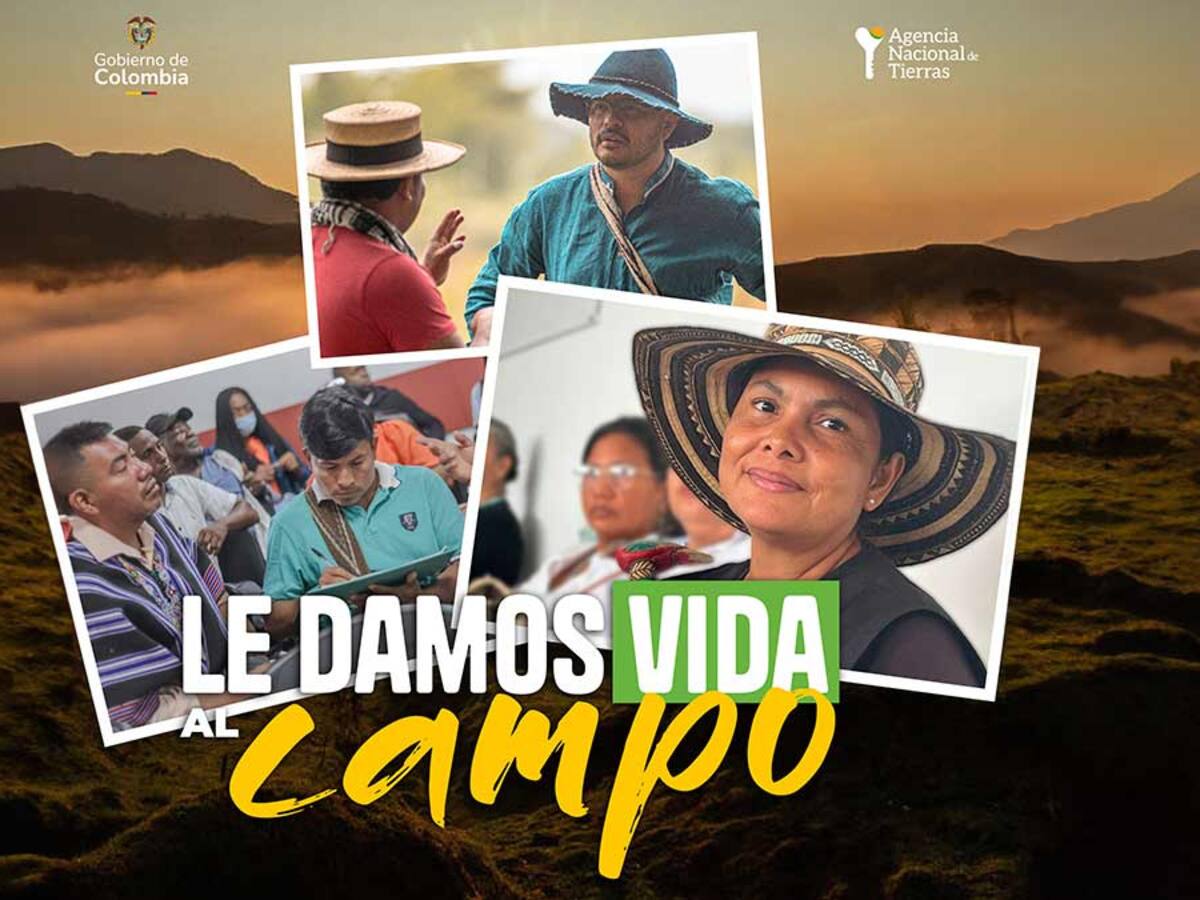 ¡Pilas, no se deje engañar! Trámites de la ANT son gratuitos y no necesitan intermediarios