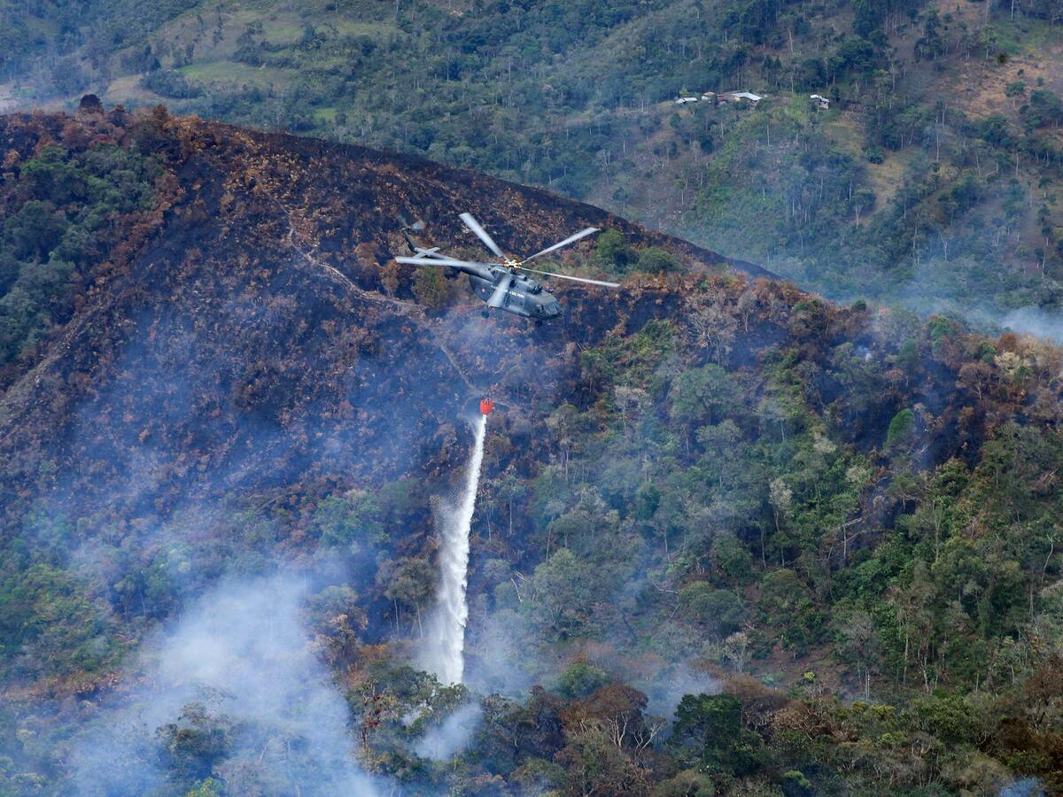 Perú declarará en emergencia tres regiones afectadas por los incendios en la Amazonía