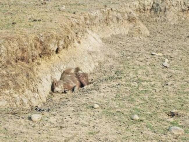 ¿Cuál es para usted el desastre más grave generado por los efectos climáticos?