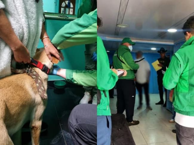 Fotos: Alcaldía de Bogotá