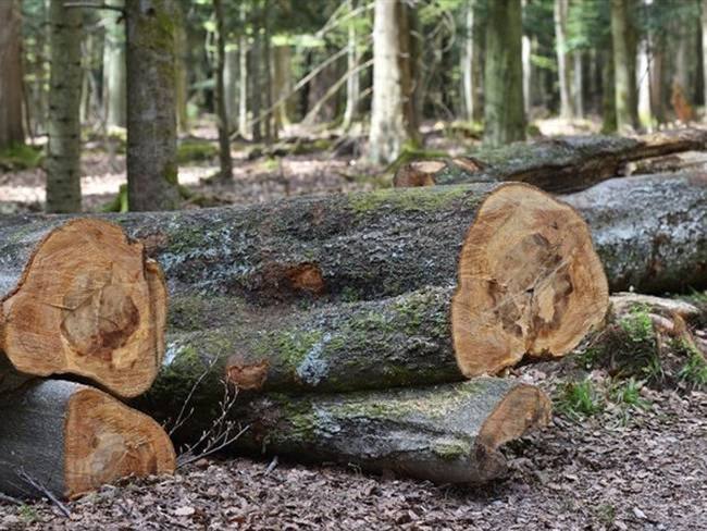 Foto: Getty Images (Referencia)