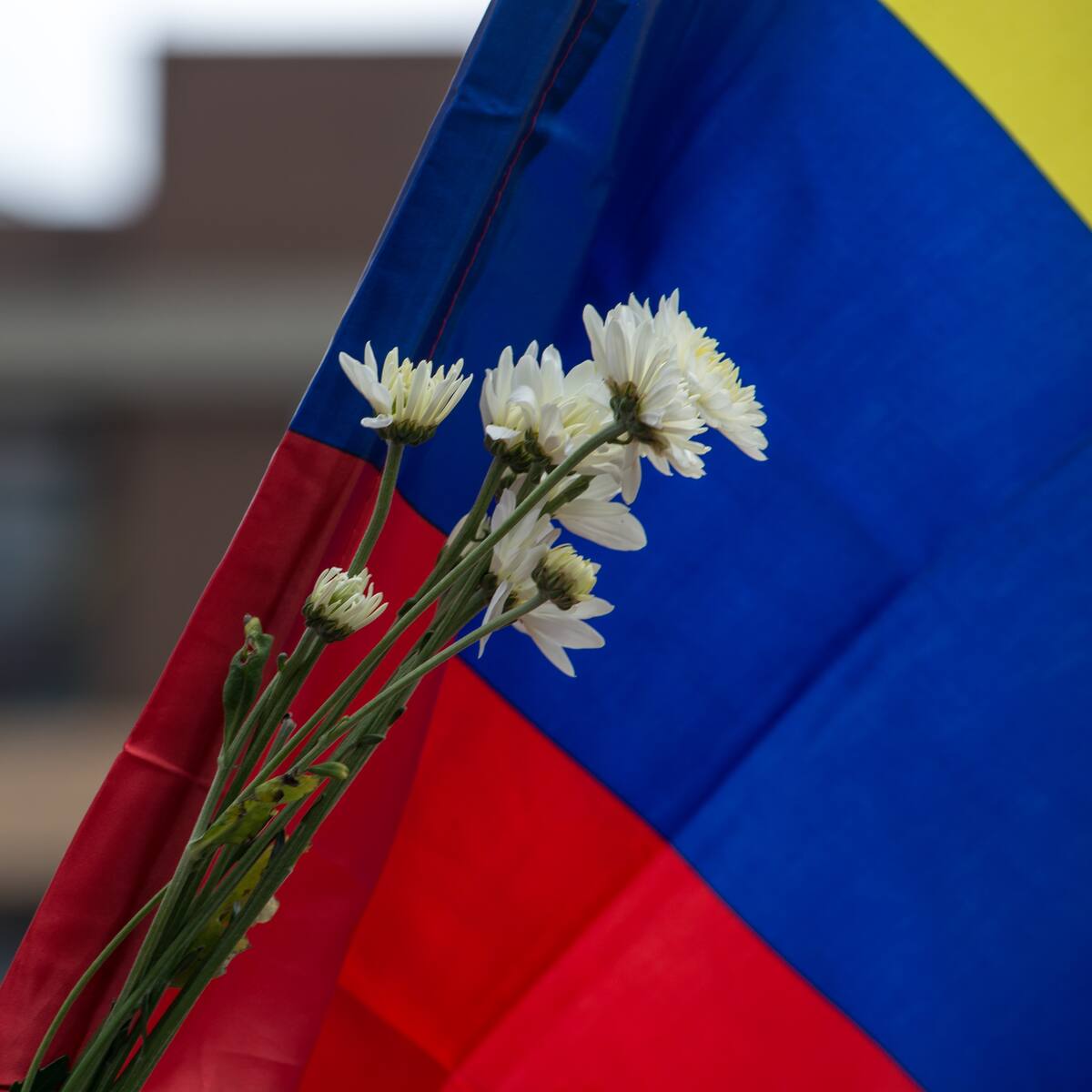 ¿Cómo es posible alcanzar una paz total en Colombia? Congresistas responden