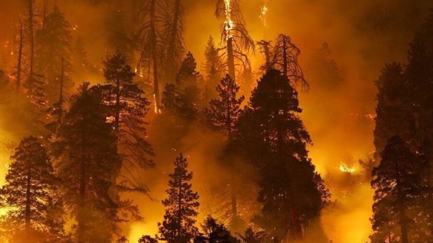 En 2015, los incendios abrasaron 10 millones de acres, un récord en la historia reciente. Foto: GETTY IMAGES, tomada de BBC Mundo.