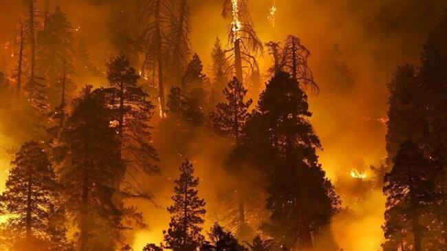 En 2015, los incendios abrasaron 10 millones de acres, un récord en la historia reciente. Foto: GETTY IMAGES, tomada de BBC Mundo.