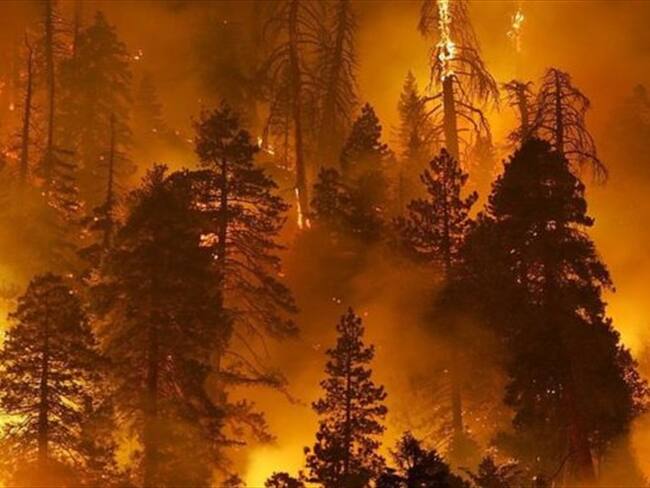 En 2015, los incendios abrasaron 10 millones de acres, un récord en la historia reciente. Foto: GETTY IMAGES, tomada de BBC Mundo.