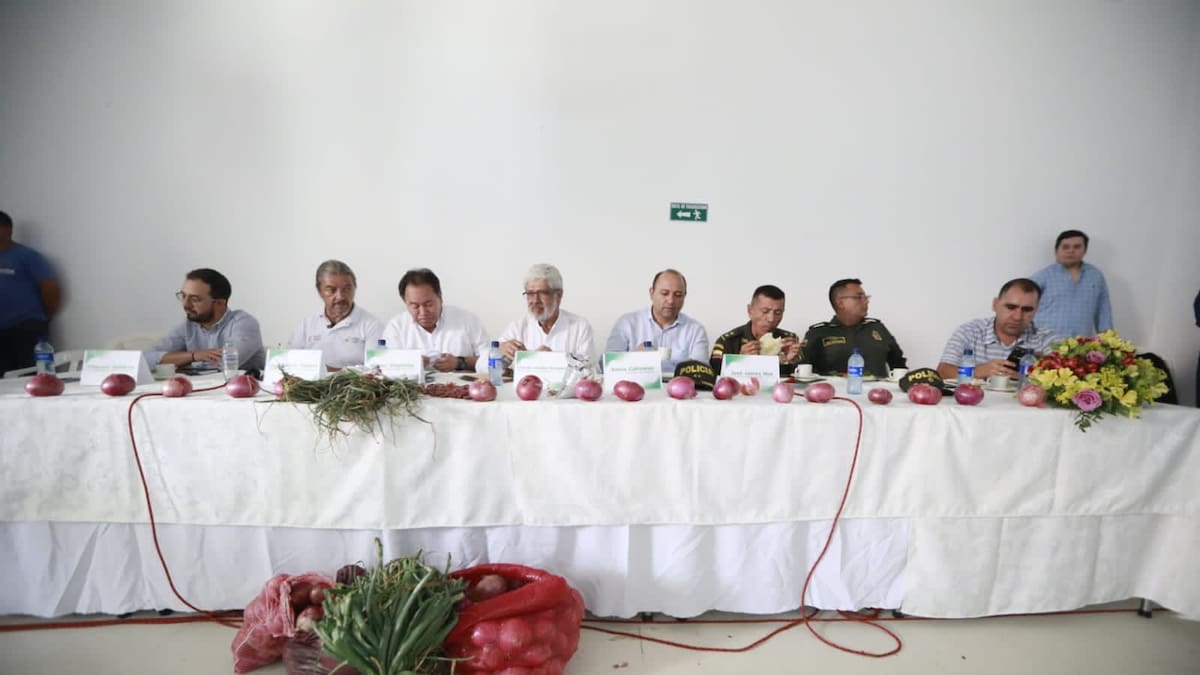 Gobierno Nacional y cultivadores de cebolla firmaron cinco acuerdos en el Catatumbo