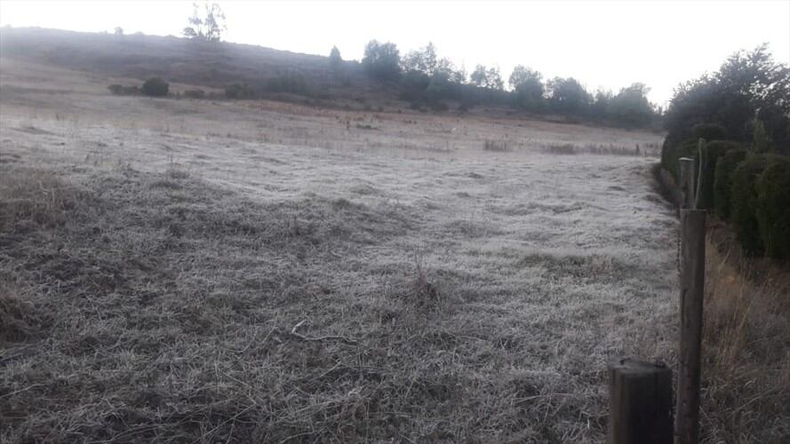 Las heladas en Boyacá han afectado hectáreas de pastos y cultivos afectando a productores de 44 municipios.. Foto: W