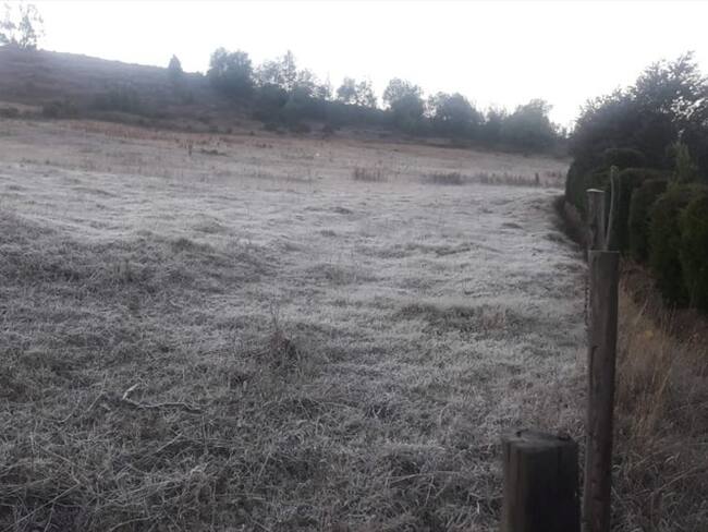 Las heladas en Boyacá han afectado más de 43.000 hectáreas de pastos y cultivos afectando 12.000 productores de 57 municipios.. Foto: W
