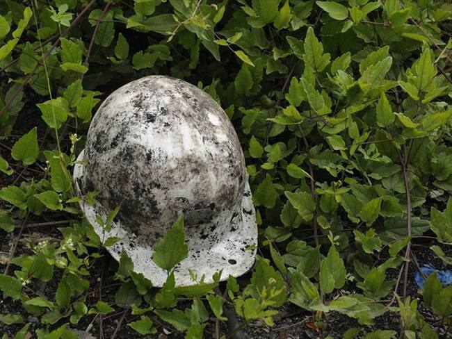 Según testigos, un alud de tierra golpeó una esquina de la estructura, provocando que esta colapsara y cayera sobre el trabajador. Foto: Getty Images