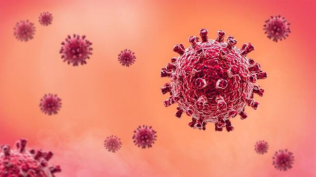 EE.UU. concluye que el coronavirus no fue diseñado como arma biológica. Foto: Getty Images / Cavan Images