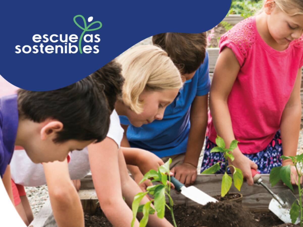 Escuelas Sostenibles: la iniciativa que busca premiar la sostenibilidad en los colegios