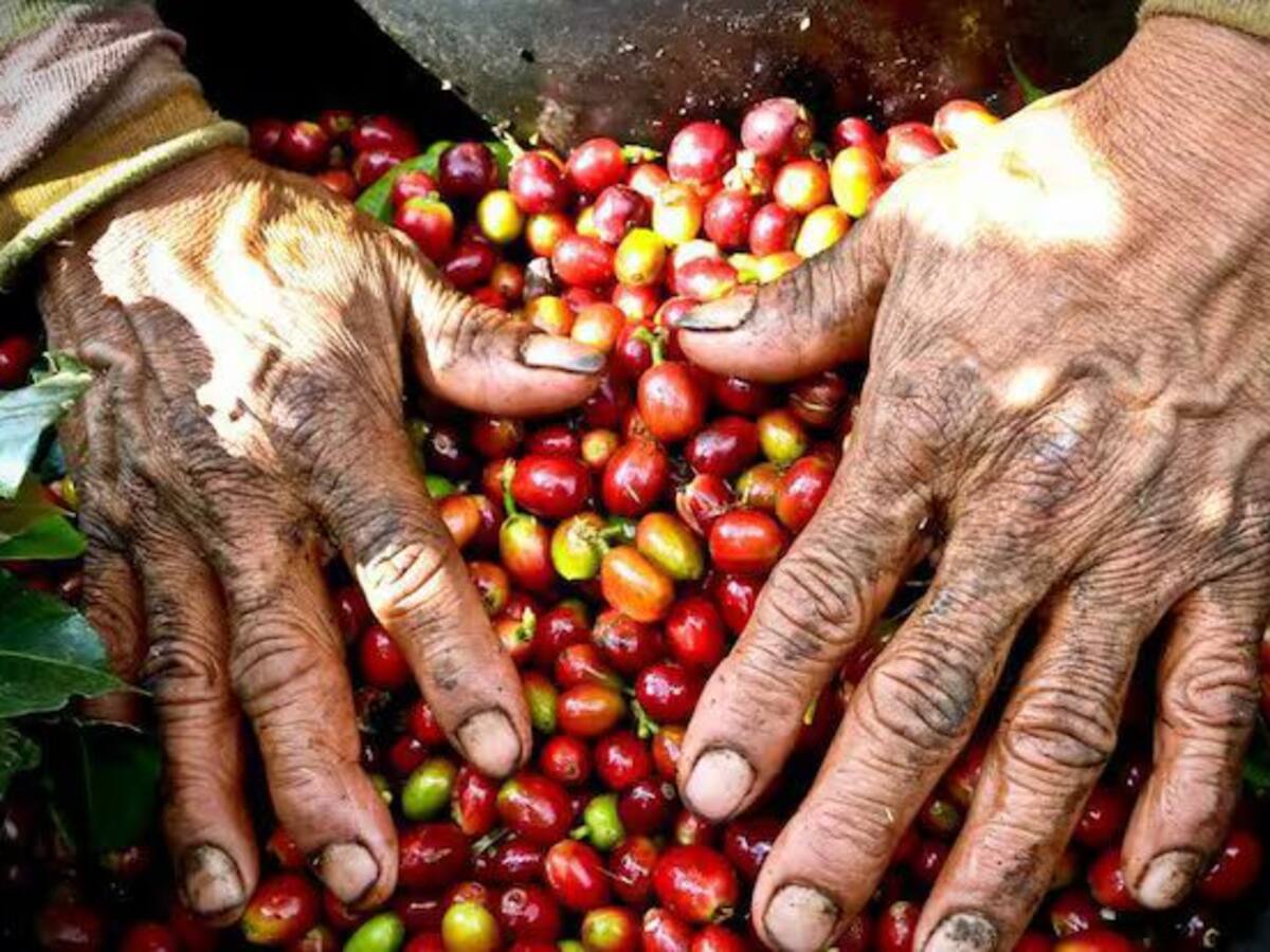 Sorprende que convoquen Asamblea sin participación de Comité de Cafeteros: Marcelo Salazar
