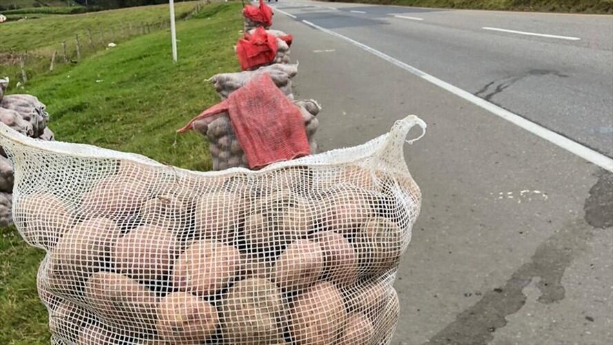 En Bogotá se adelanta una reunión con el Consejo Nacional de Papa donde hacen presencia agricultores, agroindustriales y secretarios de agricultura de departamentos productores. . Foto: W