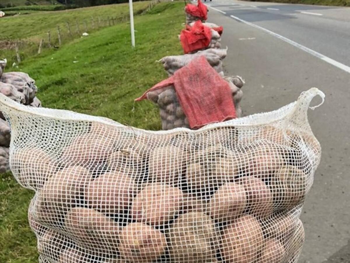 Denuncian incumplimiento del Gobierno en compromisos para pequeños productores de papa