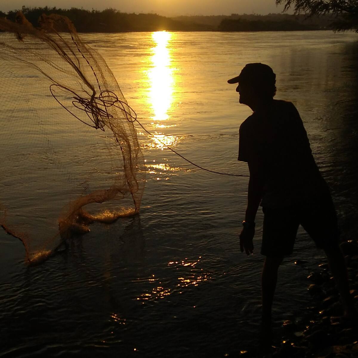 El sector de la pesca artesanal ha sido muy olvidado: Catalina Díaz, de Nuqui Fish
