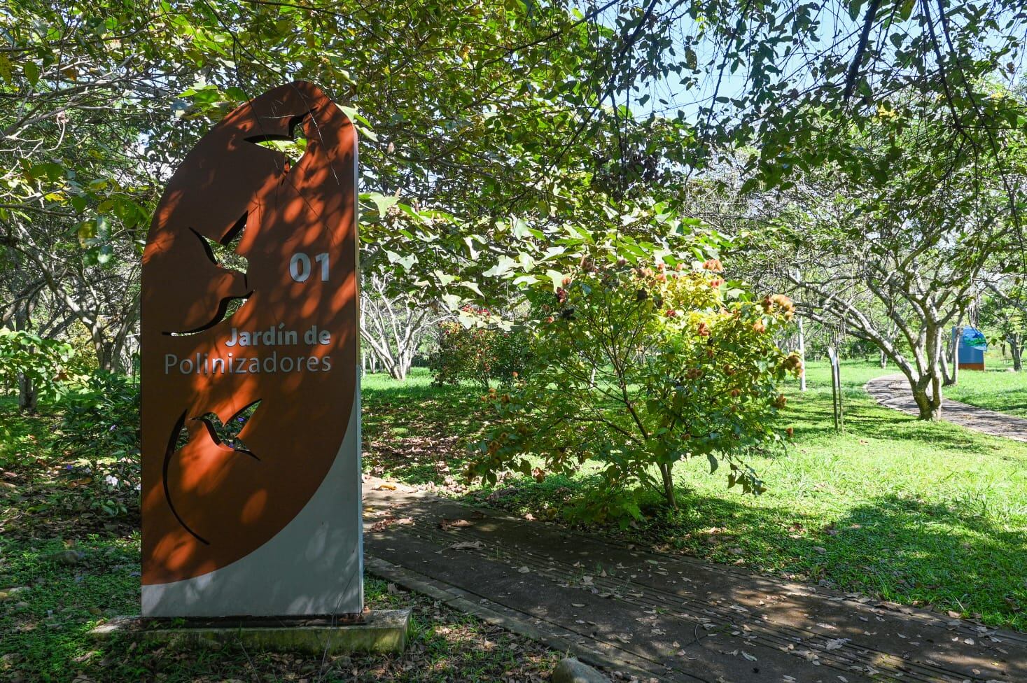 Actualmente, el ecoparque se encuentra abierto al público con recorridos guiados. Foto: Cortesía Dagma.