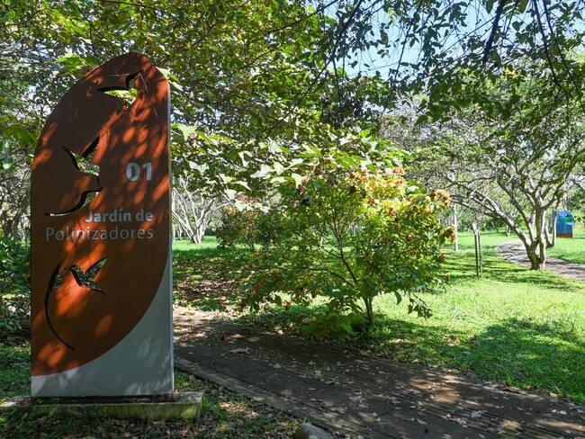 Actualmente, el ecoparque se encuentra abierto al público con recorridos guiados. Foto: Cortesía Dagma.