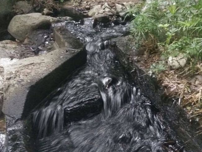 Los pescadores manifiestan que esta catástrofe ambiental ha sido la peor experiencia que han vivido. Foto: Colprensa