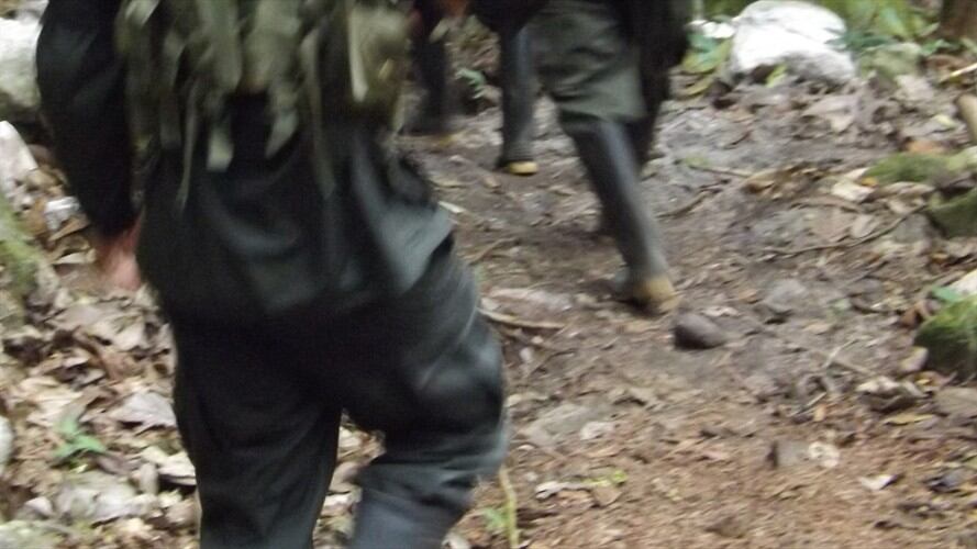 En la zona hay una alta presencia de grupos armados ilegales, disidencias de las Farc y el ELN . Foto: Colprensa