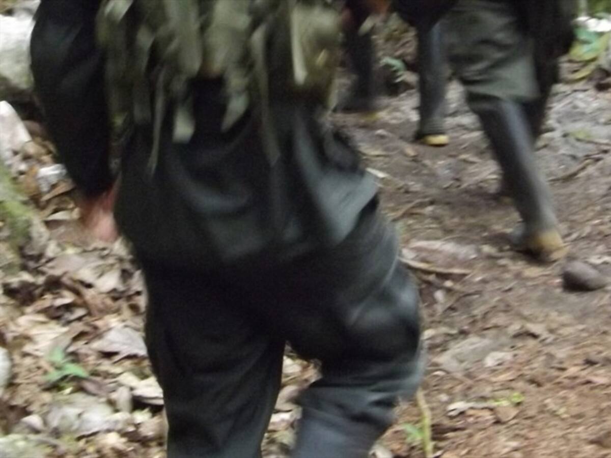 Disputas entre grupos armados generan desplazamientos en Guapi, Cauca