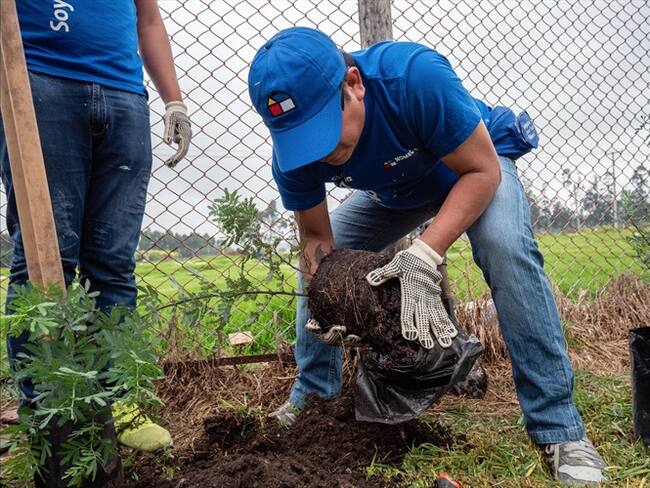 Sodimac – Homecenter recibió distinción por cuidado del medio ambiente