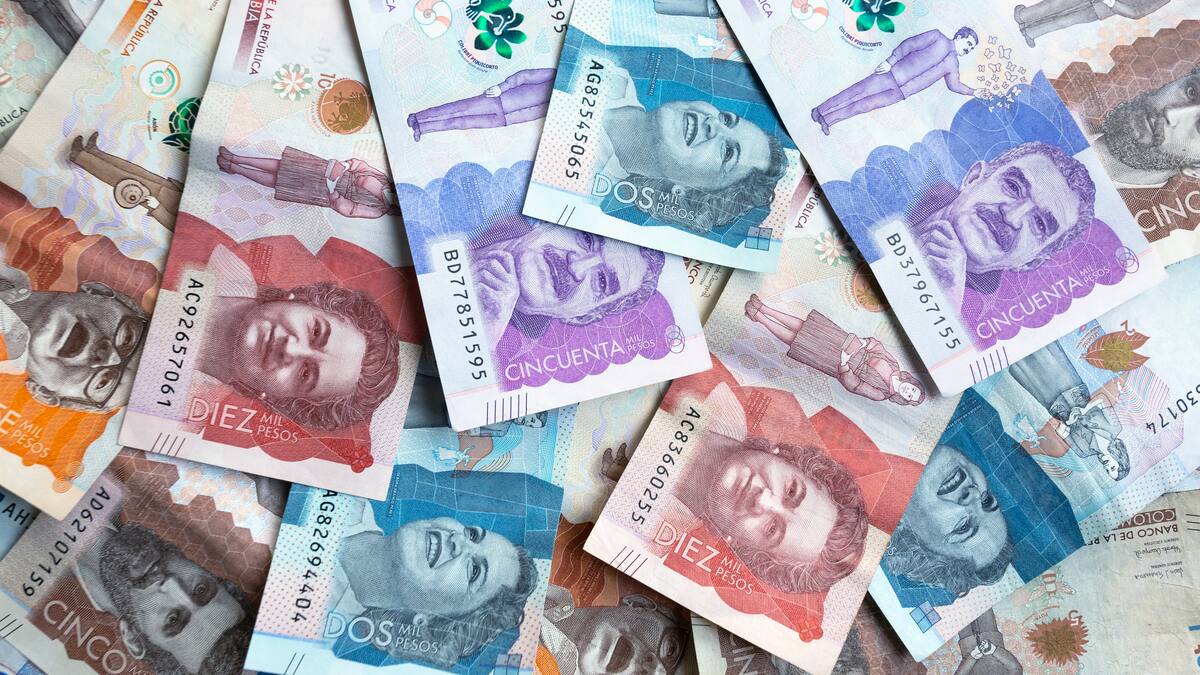 Corrupción en Ibagué: jefe de contratación fue amenazada