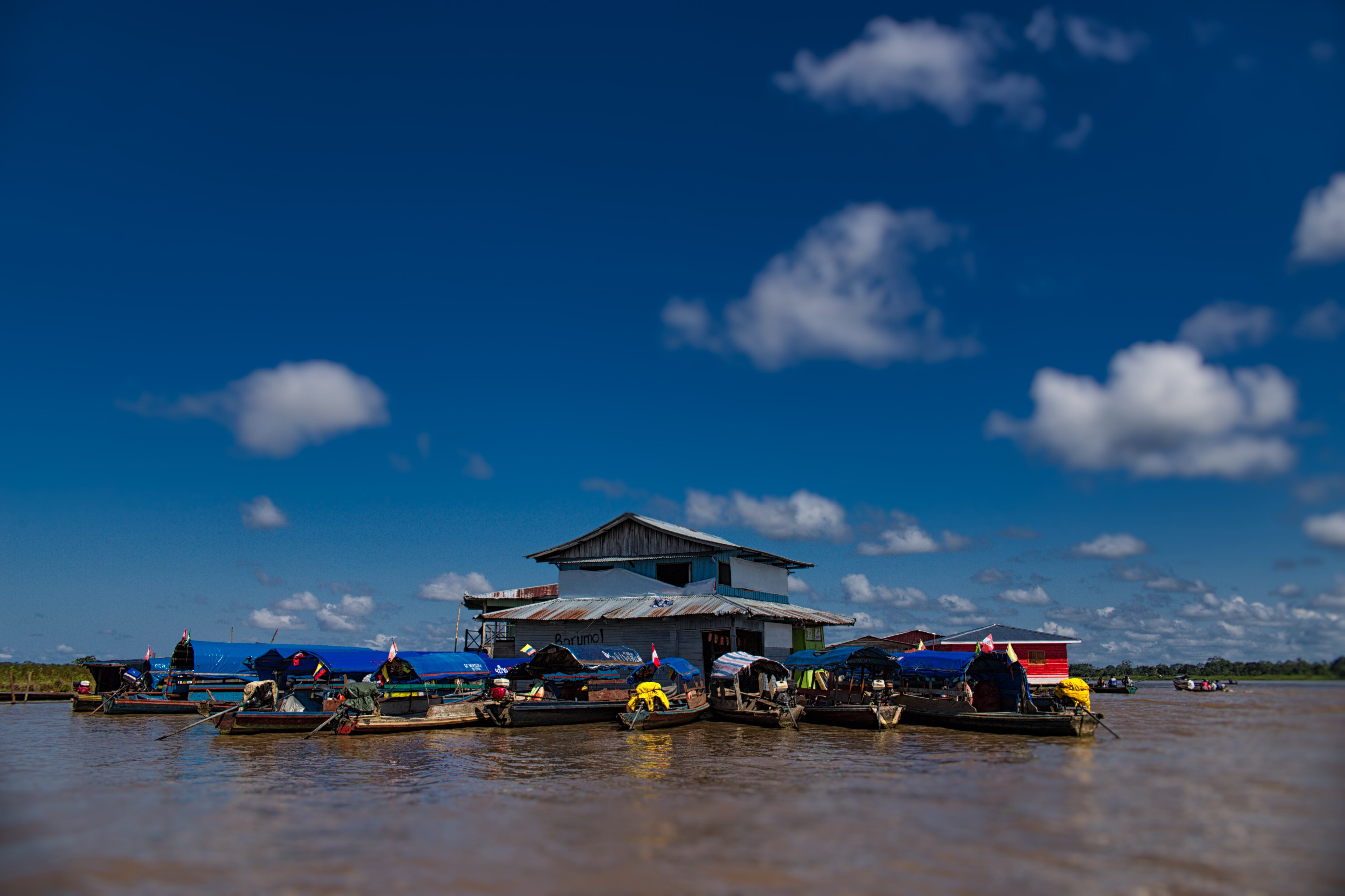 Isla en Río Amazonas. Foto: Getty Images,