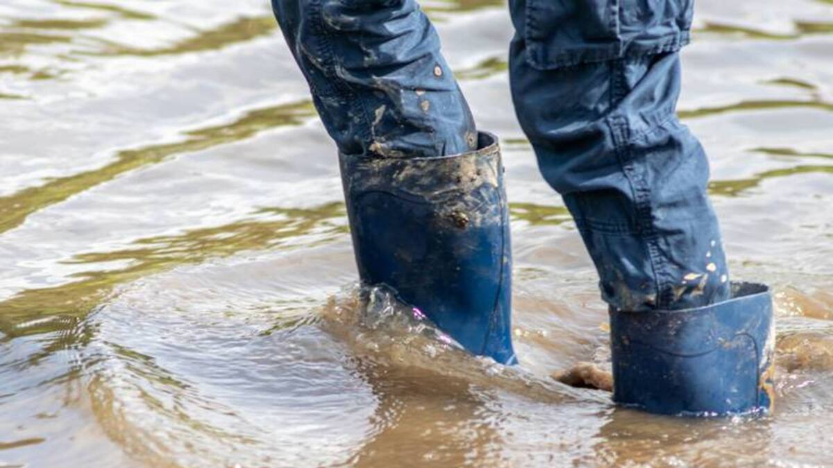 Emergencia en Fundación Juanfe de Cartagena: advierten enfermedades y escasez de alimento