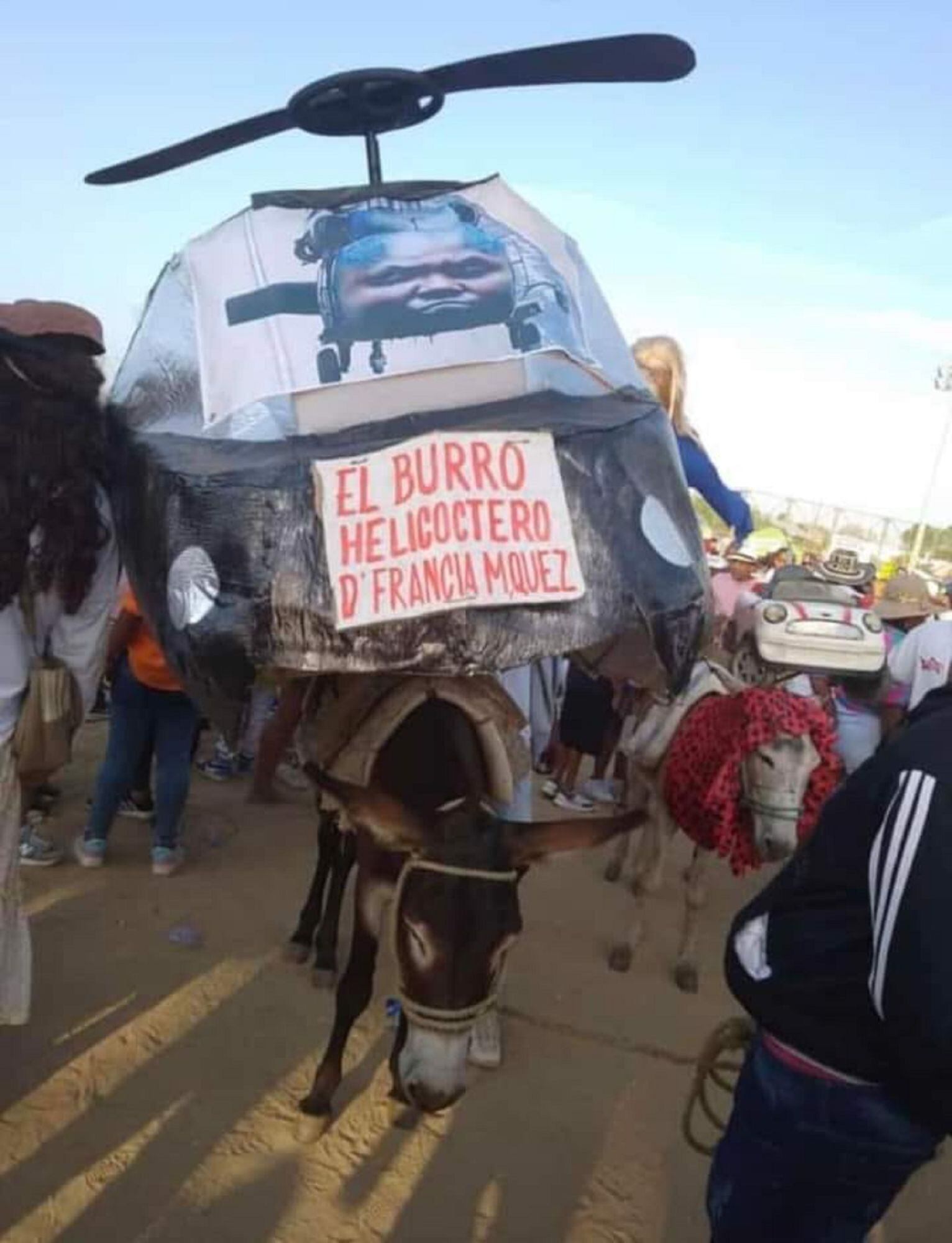 Burro helicóptero. Foto: prensa Alcaldía San Antero, Córdoba.