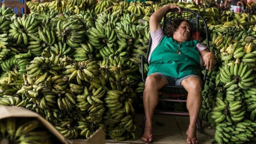 El principal productor de bananas del mundo es Asia (50%) y le siguen América (33%) y África (14%), según la FAO. Foto: Getty / BBC Mundo.
