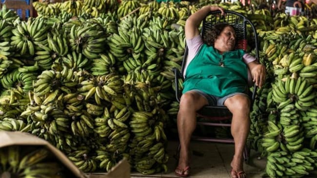 El principal productor de bananas del mundo es Asia (50%) y le siguen América (33%) y África (14%), según la FAO. Foto: Getty / BBC Mundo.