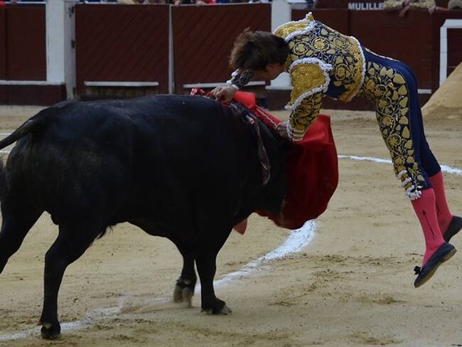 Se evidenció el ingreso y consumo de alcohol dentro de la Plaza de Toros La Santamaría. Foto: Colprensa