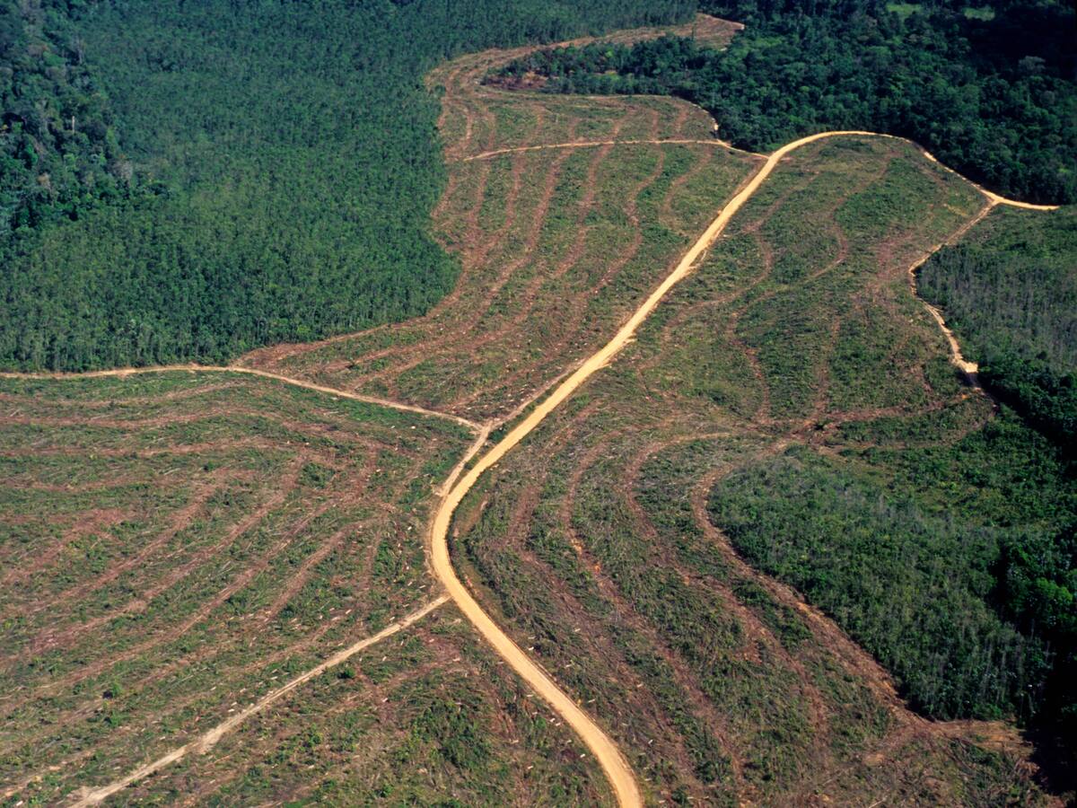Delincuencia organizada transnacional en el Amazonas será enfrentada por ocho países