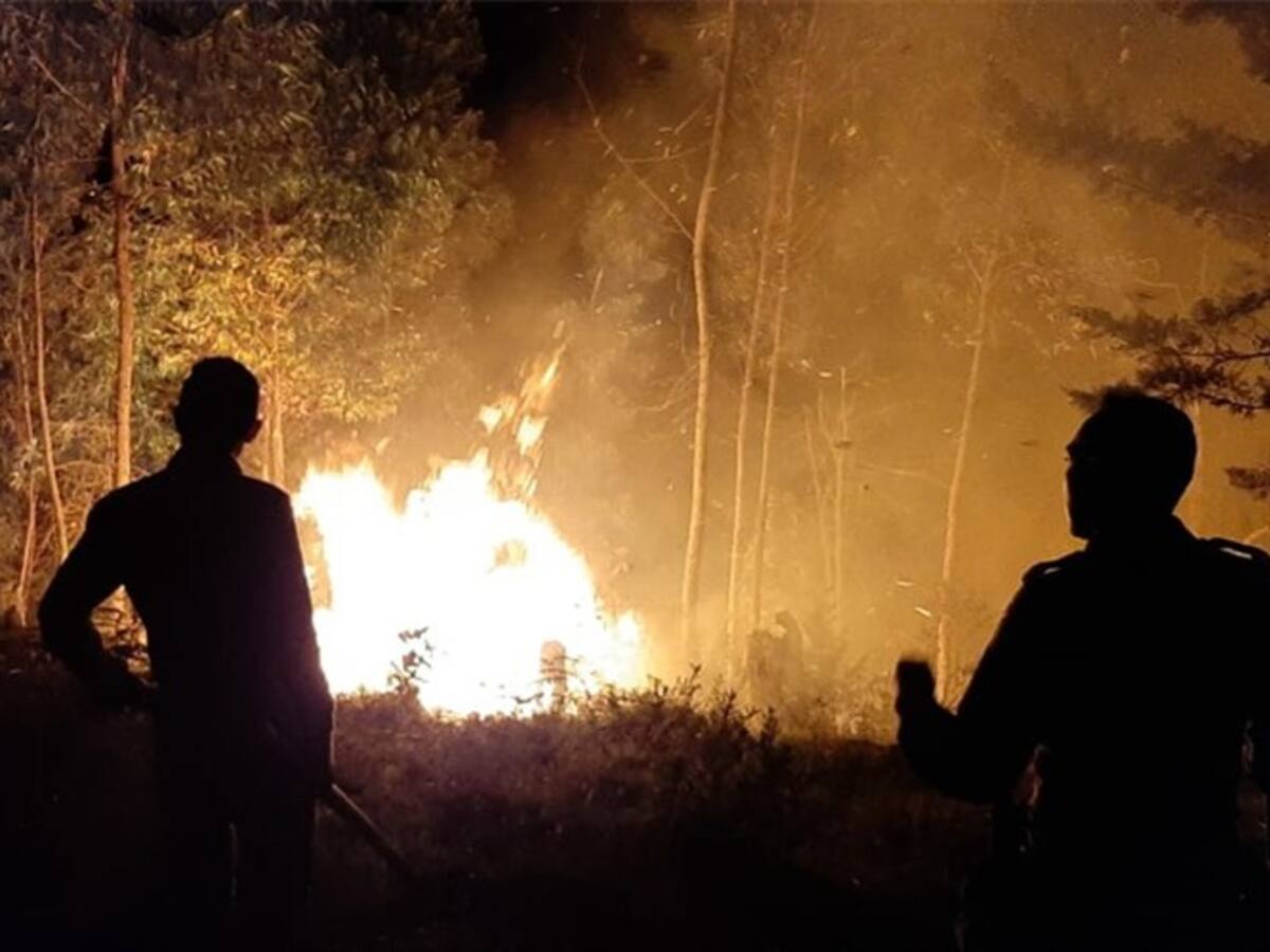 Más de 10 hectáreas consumidas por incendio forestal en Chinavita, Boyacá