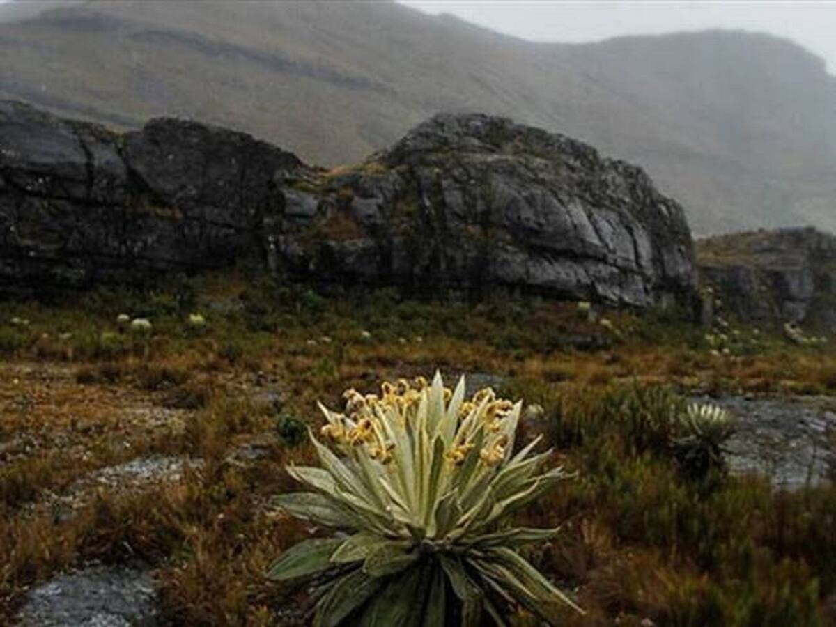 Identifican 28 sitios de explotación minera ilegal en el páramo de Rabanal, Boyacá