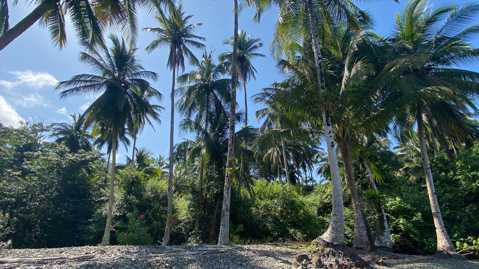 No está parado, tenemos todo listo: almirante Cubides por estación guardacostas en Gorgona. Foto: W Radio.