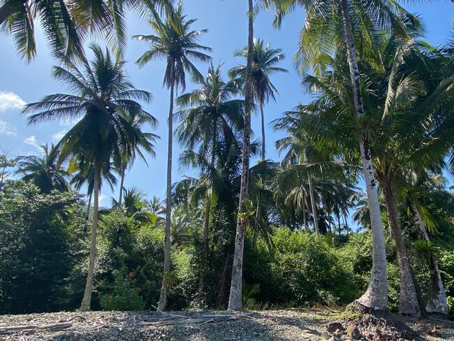No está parado, tenemos todo listo: almirante Cubides por estación guardacostas en Gorgona. Foto: W Radio.
