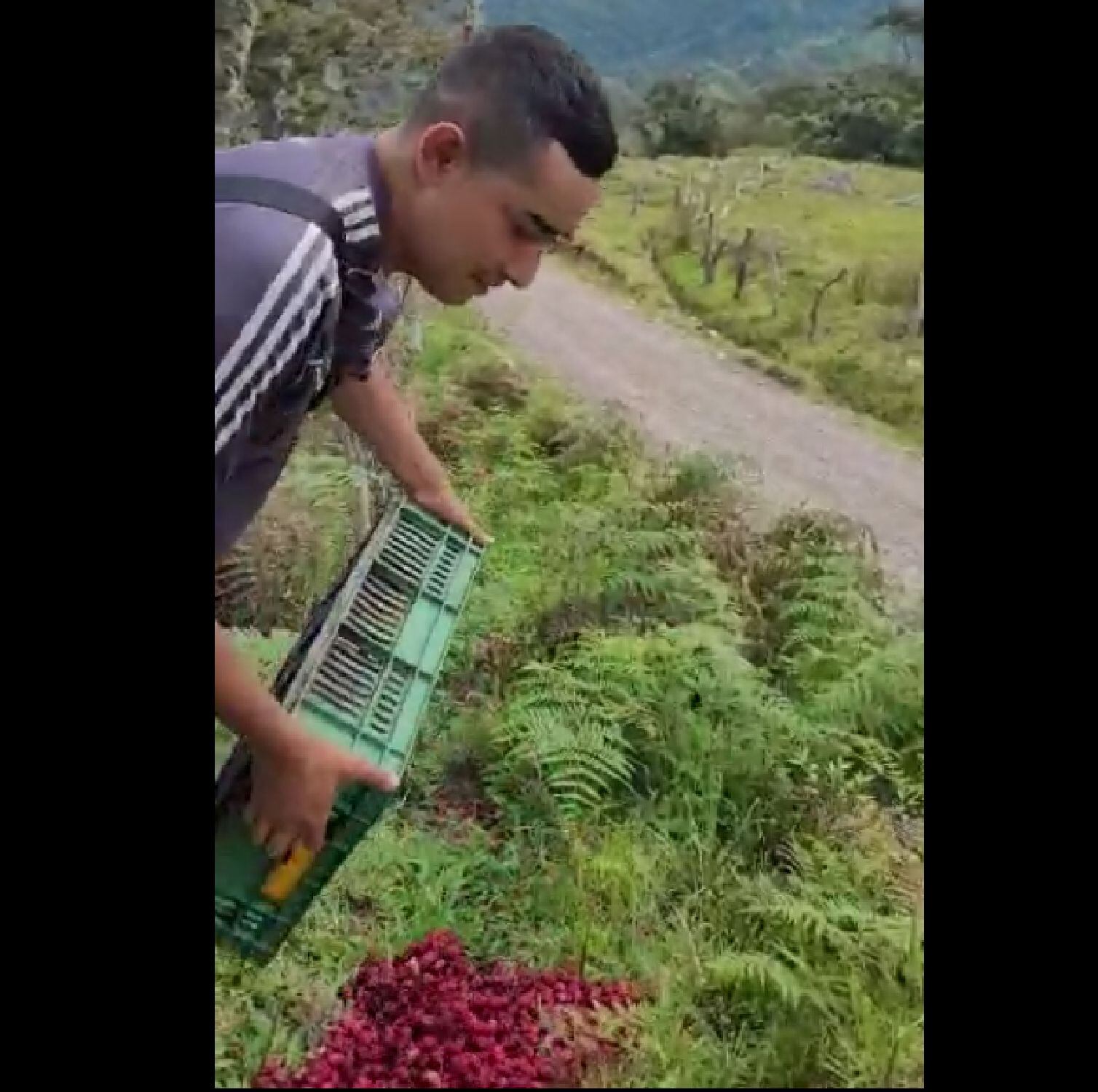 Campesinos Charta /Cuerpo de Bomberos Bucaramanga