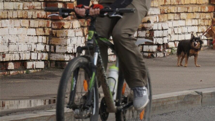 Indignación en redes sociales por libertad de conductor que atropelló a ciclista y causó su muerte. Foto: Referencia Getty