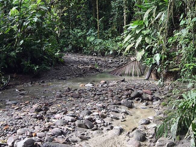 Contraloría alerta por crecimiento de minería ilegal en Chocó e ineficiencia de Codechocó. Foto: Colprensa
